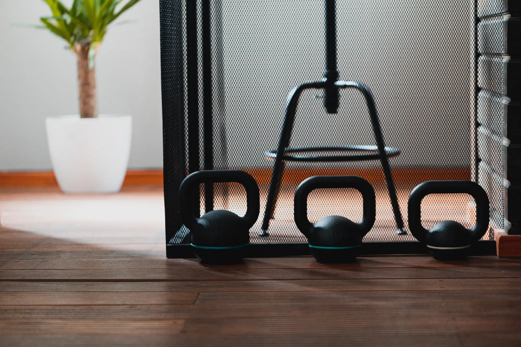 Three kettlebells on a wooden floor beside a pull-up frame